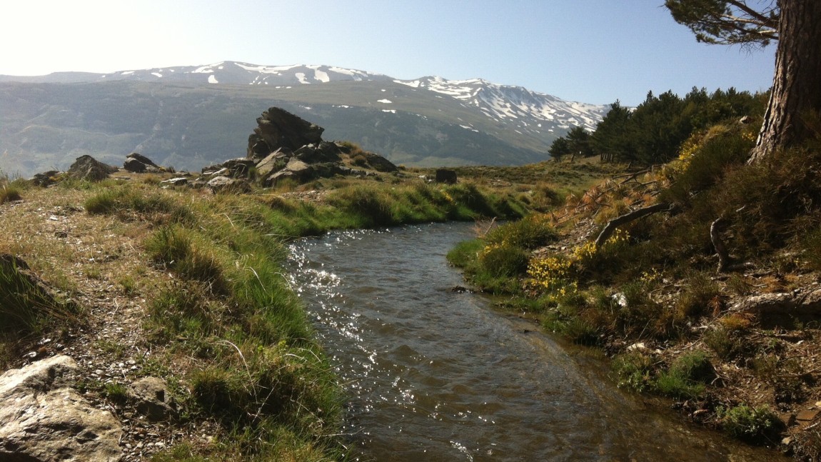 The Aqueducts of the Moors