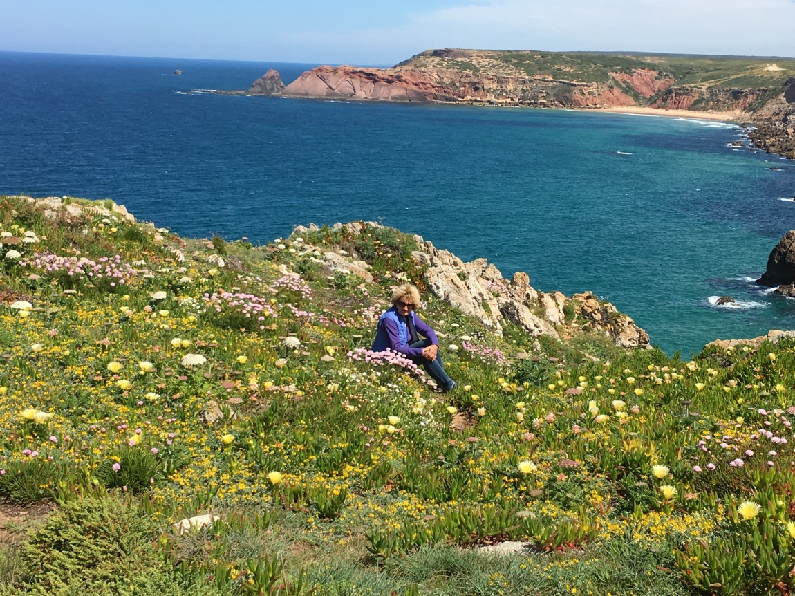 The Algarve’s Coastal Plants