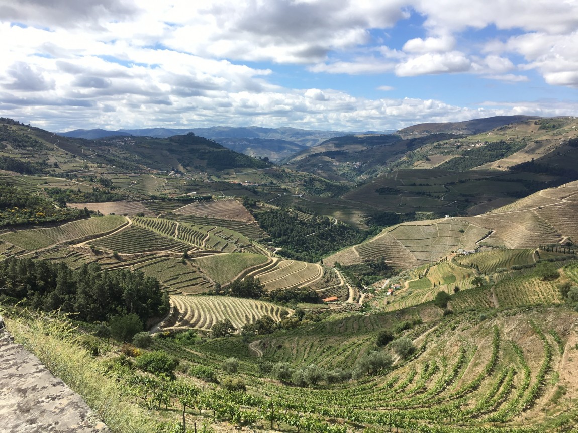 The Douro Valley Drive
