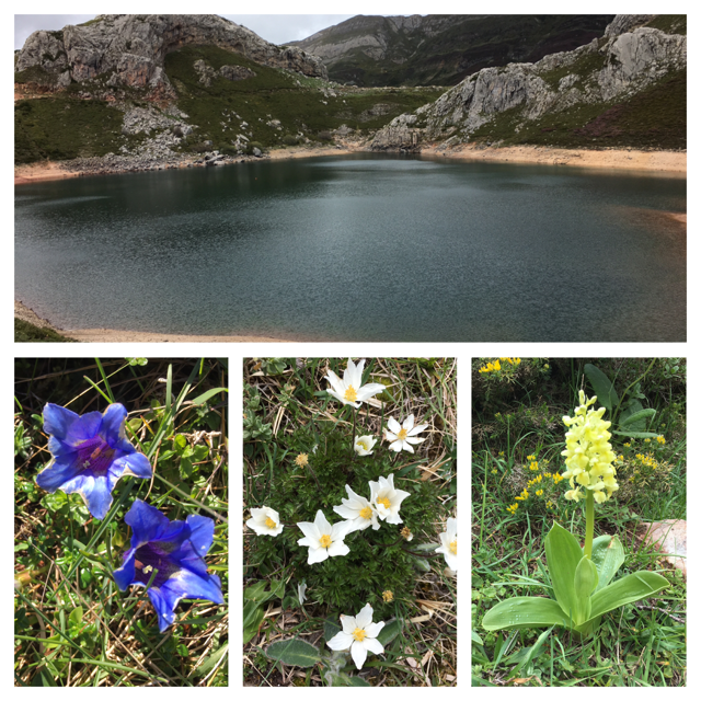 Alpine lakes of Somiedo